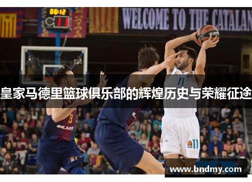 皇家马德里篮球俱乐部的辉煌历史与荣耀征途