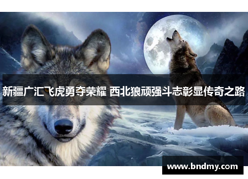 新疆广汇飞虎勇夺荣耀 西北狼顽强斗志彰显传奇之路 新疆广汇飞虎勇夺荣耀 西北狼顽强斗志彰显传奇之路