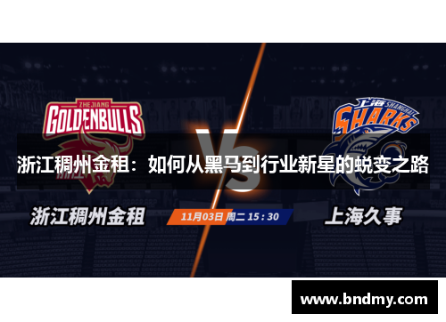 浙江稠州金租：如何从黑马到行业新星的蜕变之路