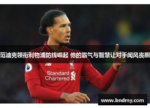 范迪克领衔利物浦防线崛起 他的霸气与智慧让对手闻风丧胆 范迪克领衔利物浦防线崛起 他的霸气与智慧让对手闻风丧胆